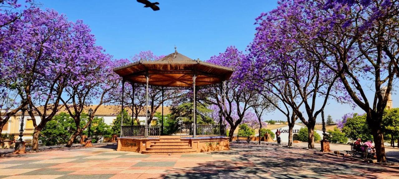 Alazan Jerez Ii-Parking Gratis-Wifi-Netflix Appartement Jerez de la Frontera Buitenkant foto